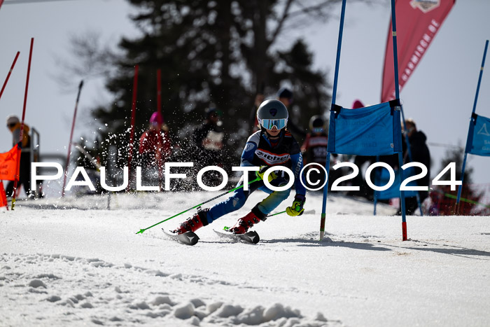 Ziener Cup Finale WF PSL, 30.03.2024 