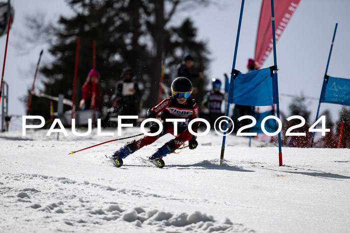 Ziener Cup Finale WF PSL, 30.03.2024 