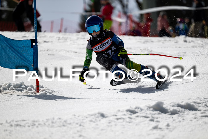 Ziener Cup Finale WF PSL, 30.03.2024 