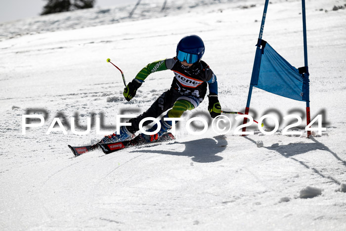 Ziener Cup Finale WF PSL, 30.03.2024 