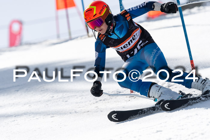 Ziener Cup Finale WF PSL, 30.03.2024 