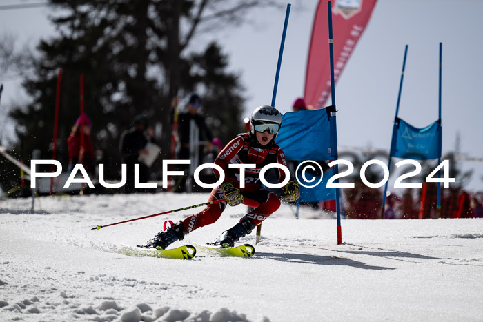 Ziener Cup Finale WF PSL, 30.03.2024 