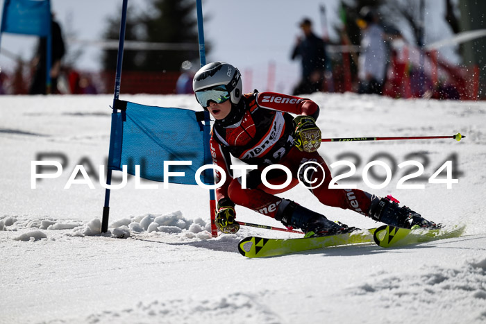 Ziener Cup Finale WF PSL, 30.03.2024 