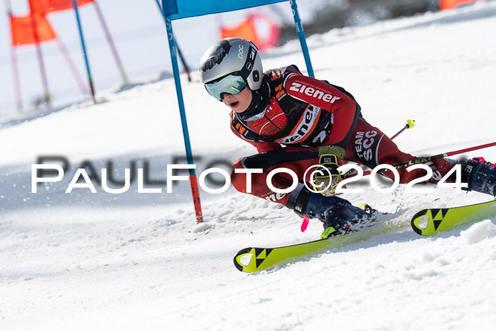 Ziener Cup Finale WF PSL, 30.03.2024 