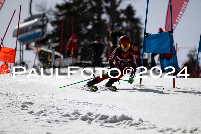 Ziener Cup Finale WF PSL, 30.03.2024 