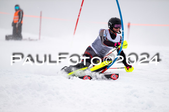 FIS Slalom Damen + Herren, 07.12.2024