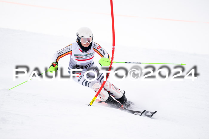 FIS Slalom Damen + Herren, 07.12.2024