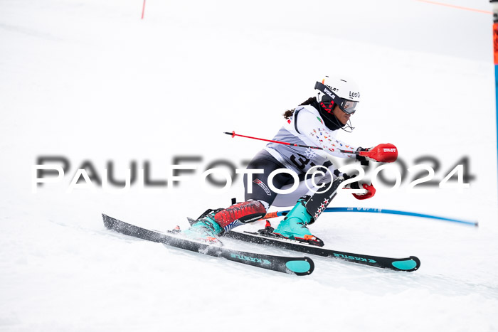 FIS Slalom Damen + Herren, 07.12.2024