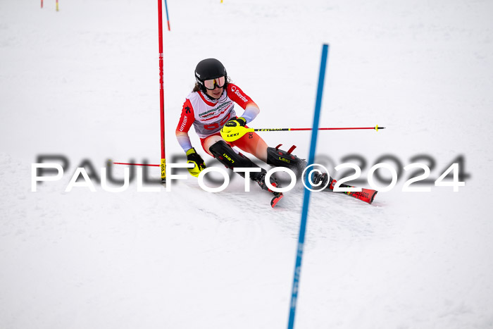 FIS Slalom Damen + Herren, 07.12.2024