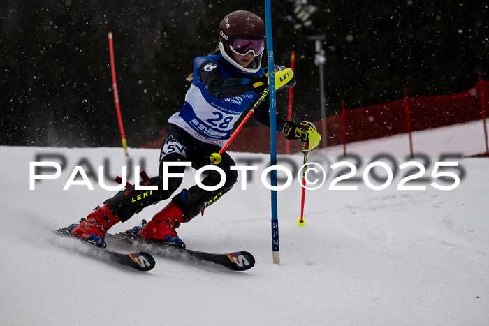 BSV Skiliga Bayern Schüler SL 12.01.2025