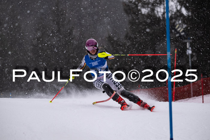 BSV Skiliga Bayern Schüler SL 12.01.2025