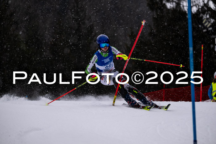 BSV Skiliga Bayern Schüler SL 12.01.2025