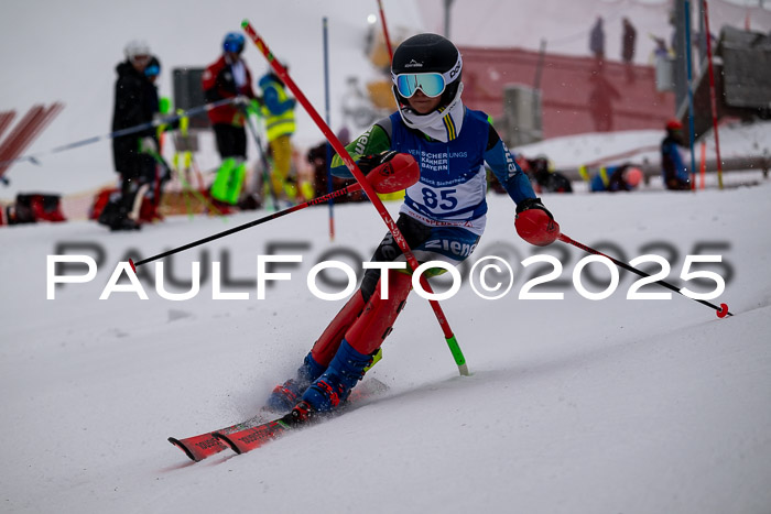 BSV Skiliga Bayern Schüler SL 12.01.2025