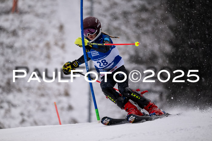 BSV Skiliga Bayern Schüler SL 12.01.2025