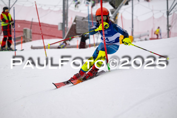 BSV Skiliga Bayern Schüler SL 12.01.2025