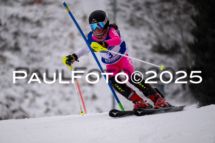 BSV Skiliga Bayern Schüler SL 12.01.2025