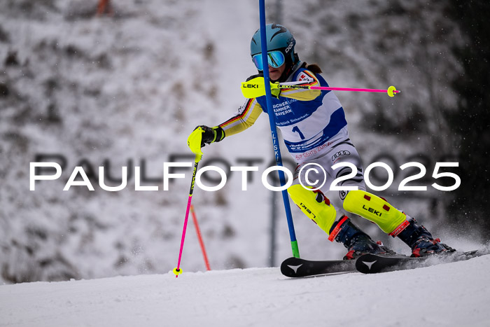 BSV Skiliga Bayern Schüler SL 12.01.2025