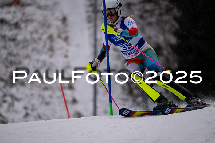 BSV Skiliga Bayern Schüler SL 12.01.2025