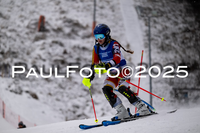 BSV Skiliga Bayern Schüler SL 12.01.2025