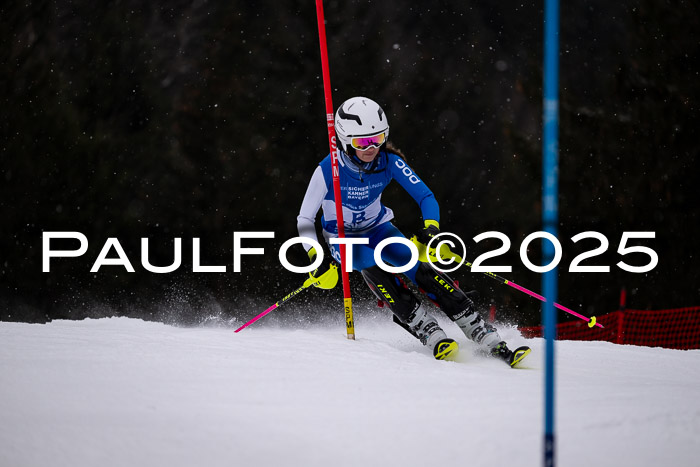 BSV Skiliga Bayern Schüler SL 12.01.2025
