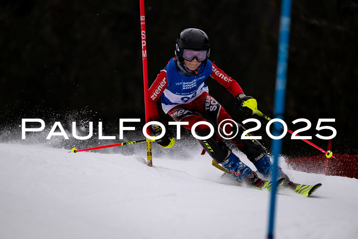 BSV Skiliga Bayern Schüler SL 12.01.2025