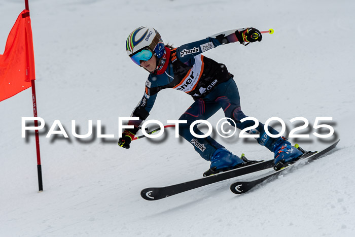 1. Ziener Cup WF RS, 12.01.2025