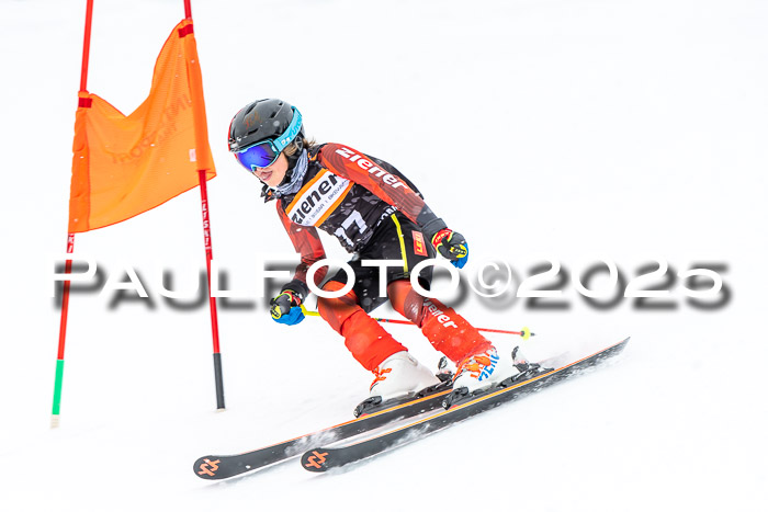 1. Ziener Cup WF RS, 12.01.2025