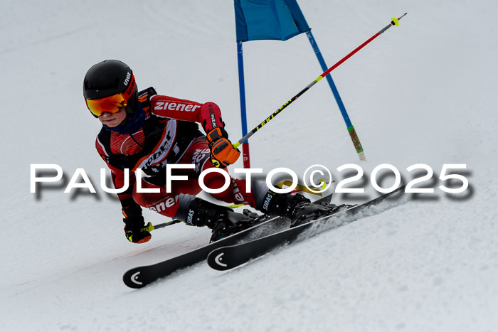 1. Ziener Cup WF RS, 12.01.2025