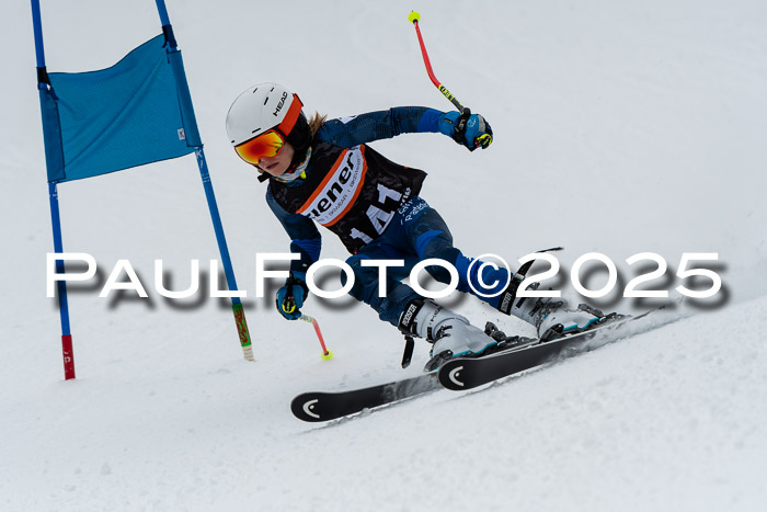 1. Ziener Cup WF RS, 12.01.2025