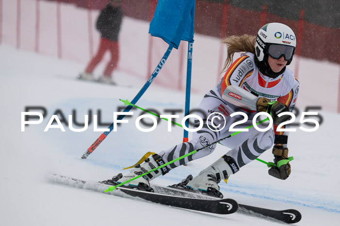 FIS Damen, RS Maria Alm 15.01.2025