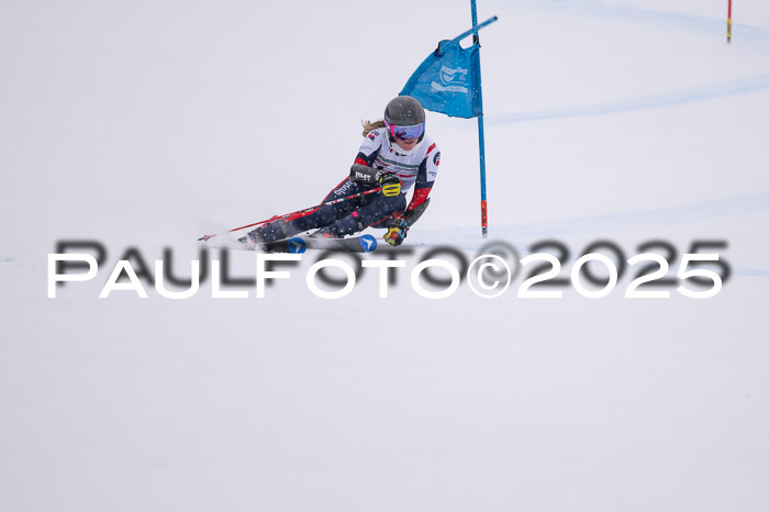 FIS Damen, RS Maria Alm 15.01.2025