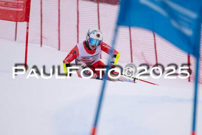 FIS Damen, RS Maria Alm 15.01.2025