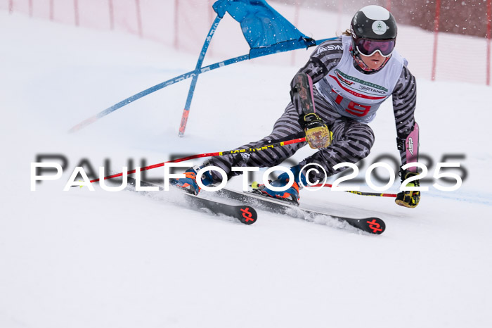 FIS Damen, RS Maria Alm 15.01.2025