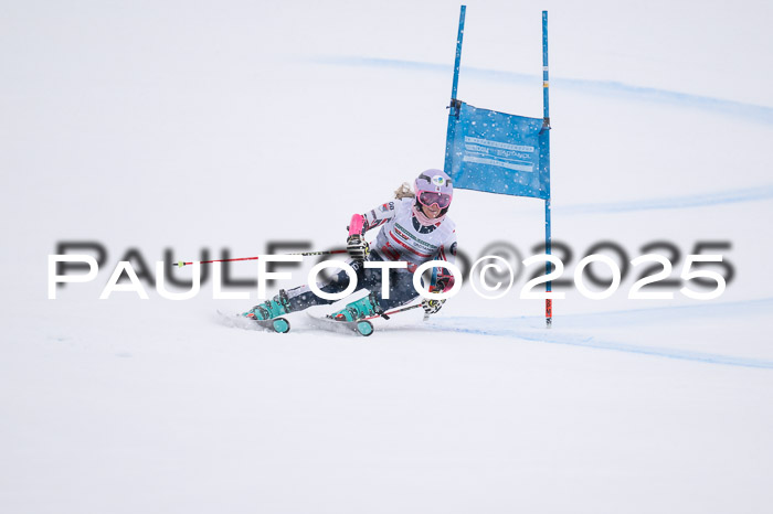 FIS Damen, RS Maria Alm 15.01.2025