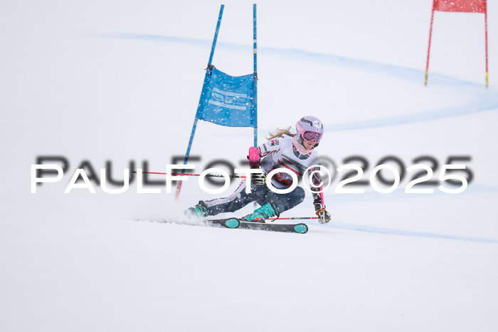 FIS Damen, RS Maria Alm 15.01.2025