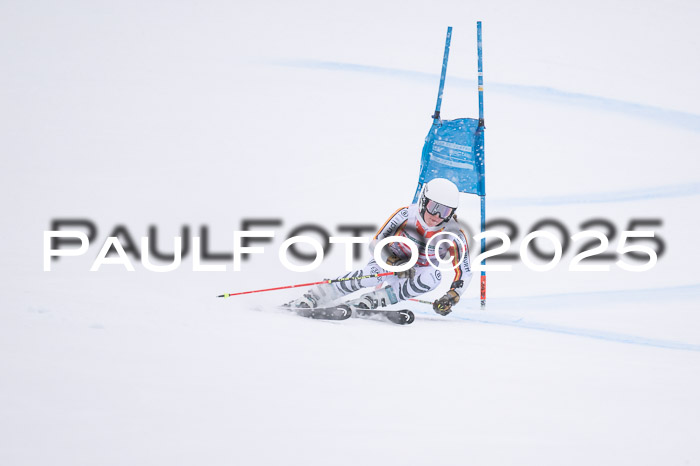 FIS Damen, RS Maria Alm 15.01.2025