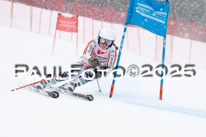 FIS Damen, RS Maria Alm 15.01.2025