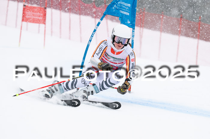 FIS Damen, RS Maria Alm 15.01.2025