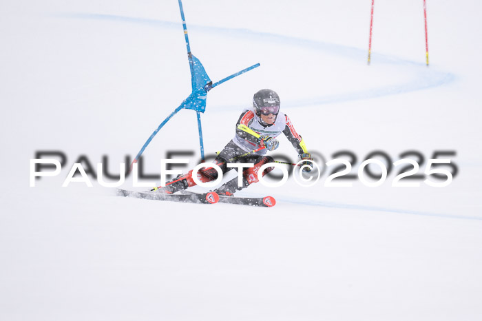FIS Damen, RS Maria Alm 15.01.2025
