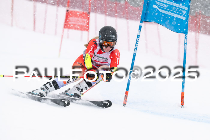 FIS Damen, RS Maria Alm 15.01.2025