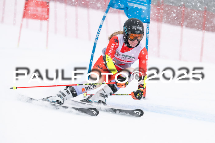 FIS Damen, RS Maria Alm 15.01.2025