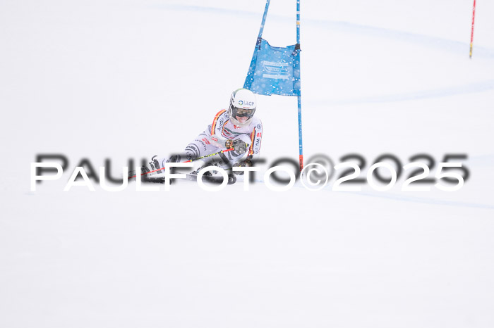 FIS Damen, RS Maria Alm 15.01.2025