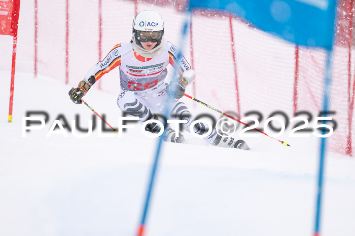 FIS Damen, RS Maria Alm 15.01.2025