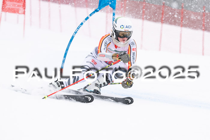 FIS Damen, RS Maria Alm 15.01.2025
