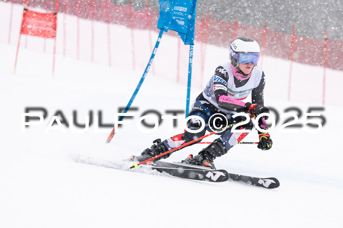 FIS Damen, RS Maria Alm 15.01.2025