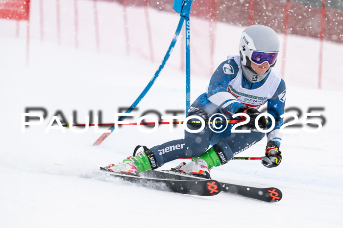 FIS Damen, RS Maria Alm 15.01.2025