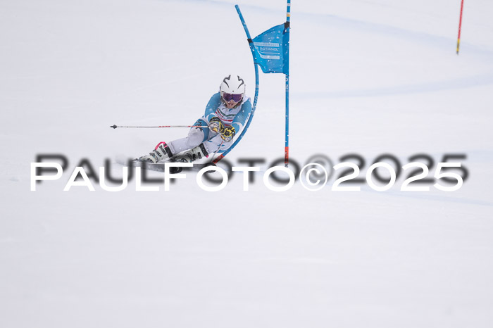 FIS Damen, RS Maria Alm 15.01.2025