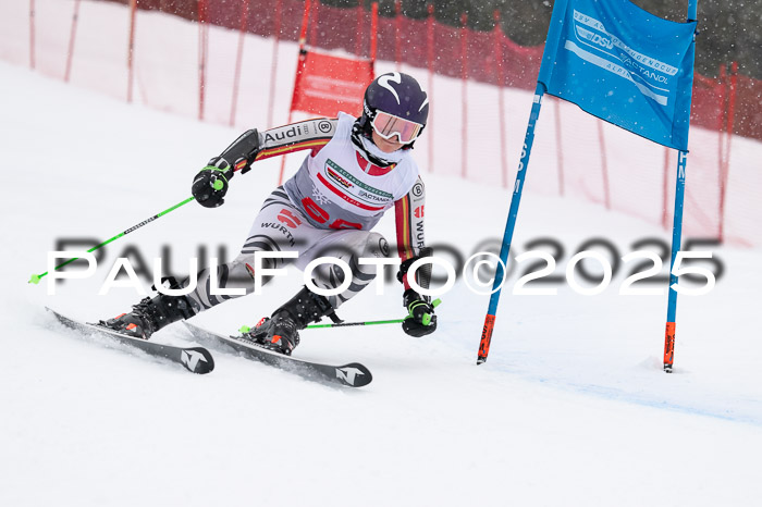 FIS Damen, RS Maria Alm 15.01.2025