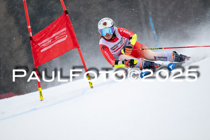 FIS Damen, RS Maria Alm 15.01.2025