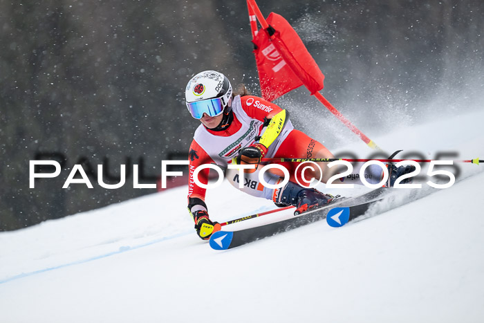 FIS Damen, RS Maria Alm 15.01.2025